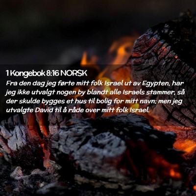 Picture 02 - 1 Kongebok 8:16 NORSK - Fra den dag jeg førte mitt folk Israel ut av - Bible Verse Picture