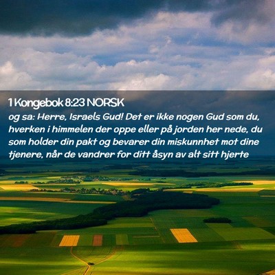 Picture 02 - 1 Kongebok 8:23 NORSK - og sa: Herre, Israels Gud! Det er ikke nogen Gud - Bible Verse Picture