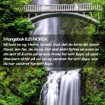 Picture 02 - 1 Kongebok 8:25 NORSK - Så hold nu og, Herre, Israels Gud, det du lovte - Bible Verse Picture