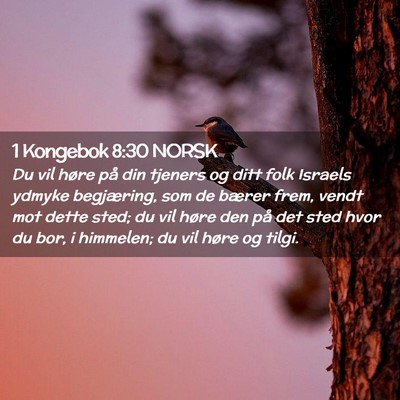 Picture 02 - 1 Kongebok 8:30 NORSK - Du vil høre på din tjeners og ditt folk Israels - Bible Verse Picture