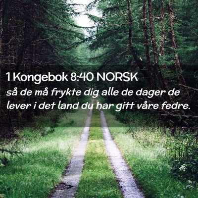 Picture 02 - 1 Kongebok 8:40 NORSK - så de må frykte dig alle de dager de lever i - Bible Verse Picture