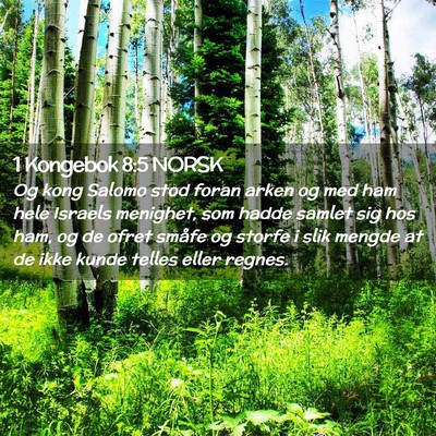 Picture 02 - 1 Kongebok 8:5 NORSK - Og kong Salomo stod foran arken og med ham hele - Bible Verse Picture