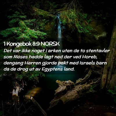 Picture 02 - 1 Kongebok 8:9 NORSK - Det var ikke noget i arken uten de to stentavler - Bible Verse Picture