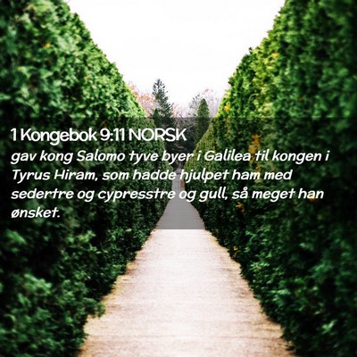 Picture 02 - 1 Kongebok 9:11 NORSK - gav kong Salomo tyve byer i Galilea til kongen i - Bible Verse Picture
