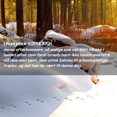 Picture 02 - 1 Kongebok 9:21 NORSK - deres efterkommere, så mange som var blitt - Bible Verse Picture