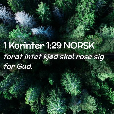 Picture 02 - 1 Korinter 1:29 NORSK - forat intet kjød skal rose sig for - Bible Verse Picture