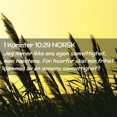 Picture 02 - 1 Korinter 10:29 NORSK - Jeg mener ikke ens egen samvittighet, men - Bible Verse Picture