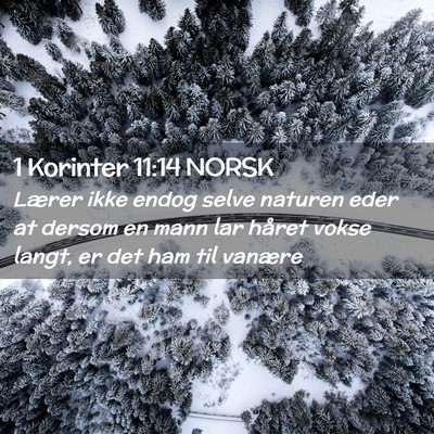Picture 02 - 1 Korinter 11:14 NORSK - Lærer ikke endog selve naturen eder at dersom en - Bible Verse Picture