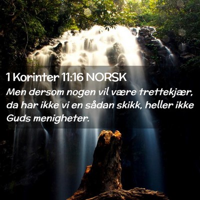 Picture 02 - 1 Korinter 11:16 NORSK - Men dersom nogen vil være trettekjær, da har - Bible Verse Picture