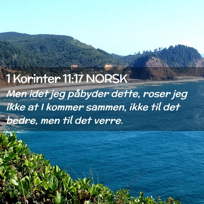 Picture 02 - 1 Korinter 11:17 NORSK - Men idet jeg påbyder dette, roser jeg ikke at I - Bible Verse Picture
