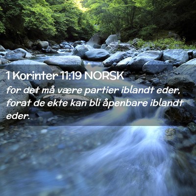 Picture 02 - 1 Korinter 11:19 NORSK - for det må være partier iblandt eder, forat de - Bible Verse Picture