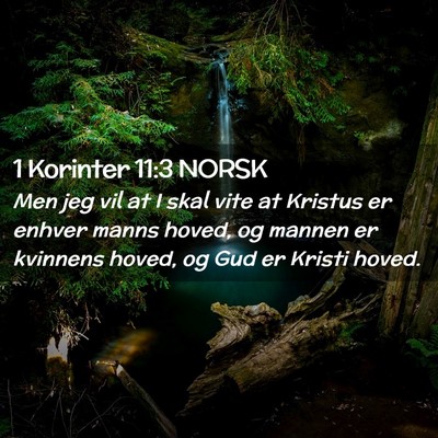 Picture 02 - 1 Korinter 11:3 NORSK - Men jeg vil at I skal vite at Kristus er enhver - Bible Verse Picture