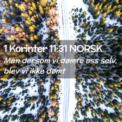 Picture 02 - 1 Korinter 11:31 NORSK - Men dersom vi dømte oss selv, blev vi ikke - Bible Verse Picture