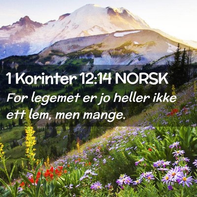 Picture 02 - 1 Korinter 12:14 NORSK - For legemet er jo heller ikke ett lem, men - Bible Verse Picture
