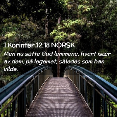 Picture 02 - 1 Korinter 12:18 NORSK - Men nu satte Gud lemmene, hvert især av dem, på - Bible Verse Picture