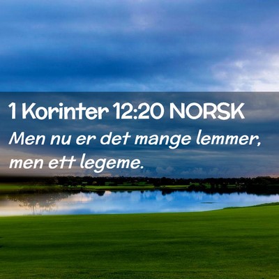Picture 02 - 1 Korinter 12:20 NORSK - Men nu er det mange lemmer, men ett - Bible Verse Picture
