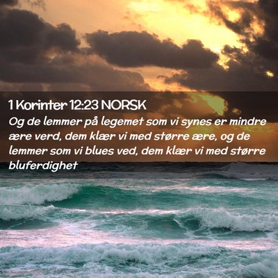 Picture 02 - 1 Korinter 12:23 NORSK - Og de lemmer på legemet som vi synes er mindre - Bible Verse Picture