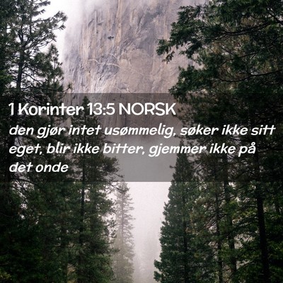 Picture 02 - 1 Korinter 13:5 NORSK - den gjør intet usømmelig, søker ikke sitt - Bible Verse Picture