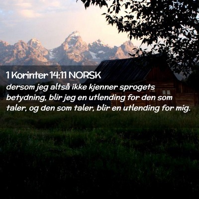 Picture 02 - 1 Korinter 14:11 NORSK - dersom jeg altså ikke kjenner sprogets - Bible Verse Picture
