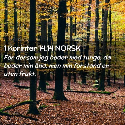 Picture 02 - 1 Korinter 14:14 NORSK - For dersom jeg beder med tunge, da beder min - Bible Verse Picture