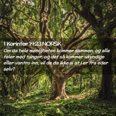 Picture 02 - 1 Korinter 14:23 NORSK - Om da hele menigheten kommer sammen, og alle - Bible Verse Picture