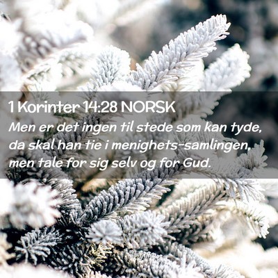 Picture 02 - 1 Korinter 14:28 NORSK - Men er det ingen til stede som kan tyde, da skal - Bible Verse Picture