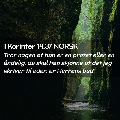 Picture 02 - 1 Korinter 14:37 NORSK - Tror nogen at han er en profet eller en åndelig, - Bible Verse Picture