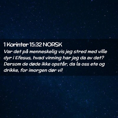 Picture 02 - 1 Korinter 15:32 NORSK - Var det på menneskelig vis jeg stred med ville - Bible Verse Picture