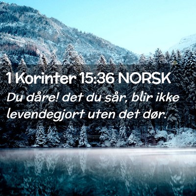 Picture 02 - 1 Korinter 15:36 NORSK - Du dåre! det du sår, blir ikke levendegjort - Bible Verse Picture