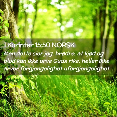 Picture 02 - 1 Korinter 15:50 NORSK - Men dette sier jeg, brødre, at kjød og blod kan - Bible Verse Picture