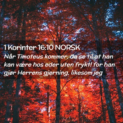 Picture 02 - 1 Korinter 16:10 NORSK - Når Timoteus kommer, da se til at han kan være - Bible Verse Picture