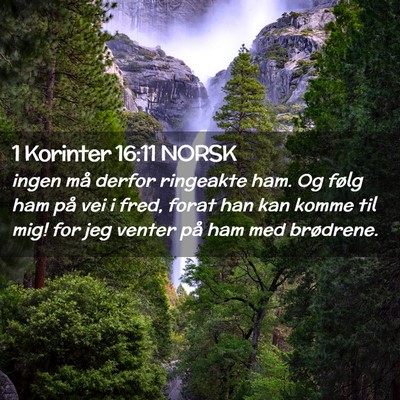 Picture 02 - 1 Korinter 16:11 NORSK - ingen må derfor ringeakte ham. Og følg ham på - Bible Verse Picture