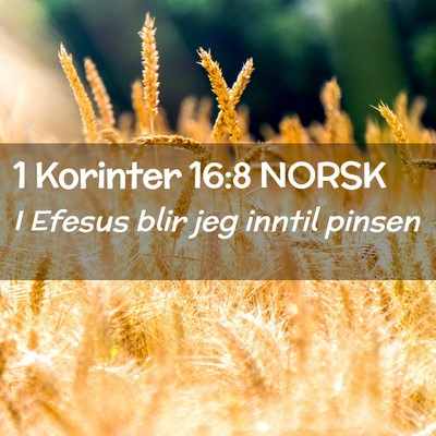 Picture 02 - 1 Korinter 16:8 NORSK - I Efesus blir jeg inntil - Bible Verse Picture