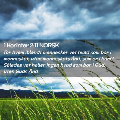 Picture 02 - 1 Korinter 2:11 NORSK - for hvem iblandt mennesker vet hvad som bor i - Bible Verse Picture