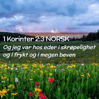 Picture 02 - 1 Korinter 2:3 NORSK - Og jeg var hos eder i skrøpelighet og i frykt og - Bible Verse Picture