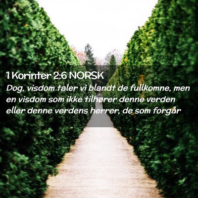 Picture 02 - 1 Korinter 2:6 NORSK - Dog, visdom taler vi blandt de fullkomne, men en - Bible Verse Picture