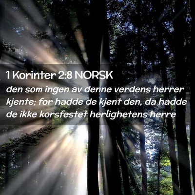 Picture 02 - 1 Korinter 2:8 NORSK - den som ingen av denne verdens herrer kjente; for - Bible Verse Picture