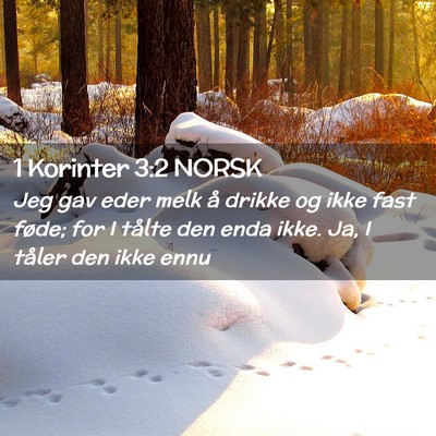 Picture 02 - 1 Korinter 3:2 NORSK - Jeg gav eder melk å drikke og ikke fast føde; - Bible Verse Picture