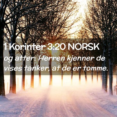 Picture 02 - 1 Korinter 3:20 NORSK - og atter: Herren kjenner de vises tanker, at de - Bible Verse Picture