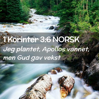 Picture 02 - 1 Korinter 3:6 NORSK - Jeg plantet, Apollos vannet, men Gud gav - Bible Verse Picture