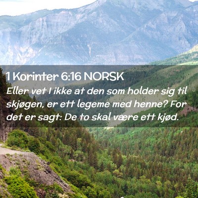 Picture 02 - 1 Korinter 6:16 NORSK - Eller vet I ikke at den som holder sig til - Bible Verse Picture