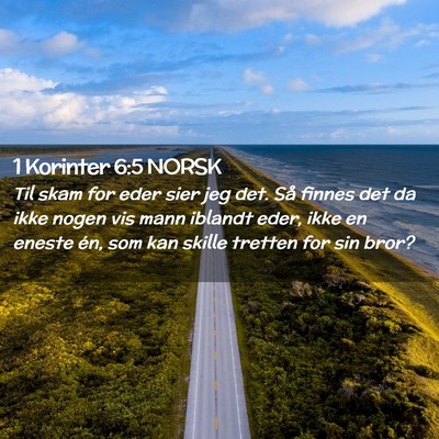 Picture 02 - 1 Korinter 6:5 NORSK - Til skam for eder sier jeg det. Så finnes det da - Bible Verse Picture