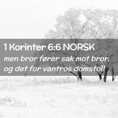 Picture 02 - 1 Korinter 6:6 NORSK - men bror fører sak mot bror, og det for vantros - Bible Verse Picture