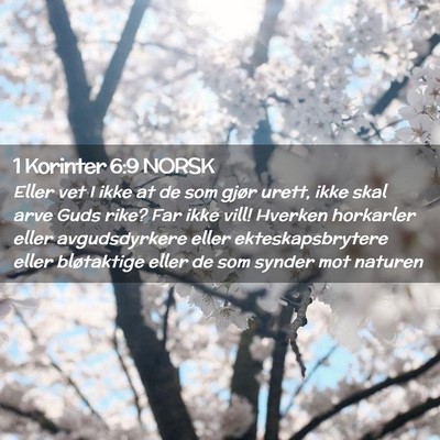 Picture 02 - 1 Korinter 6:9 NORSK - Eller vet I ikke at de som gjør urett, ikke skal - Bible Verse Picture