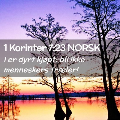 Picture 02 - 1 Korinter 7:23 NORSK - I er dyrt kjøpt; bli ikke menneskers - Bible Verse Picture