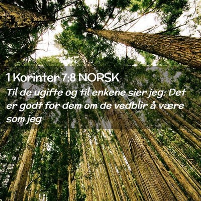 Picture 02 - 1 Korinter 7:8 NORSK - Til de ugifte og til enkene sier jeg: Det er godt - Bible Verse Picture