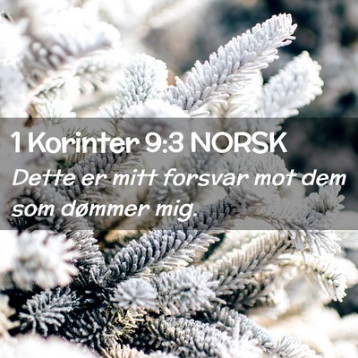 Picture 02 - 1 Korinter 9:3 NORSK - Dette er mitt forsvar mot dem som dømmer - Bible Verse Picture