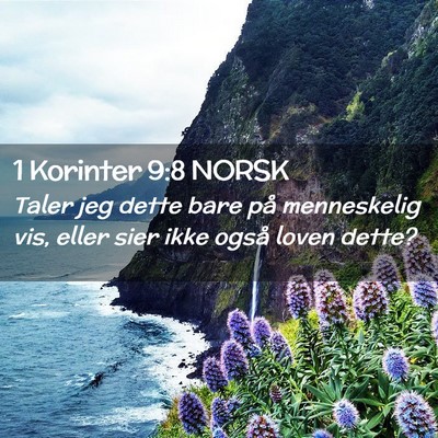 Picture 02 - 1 Korinter 9:8 NORSK - Taler jeg dette bare på menneskelig vis, eller - Bible Verse Picture