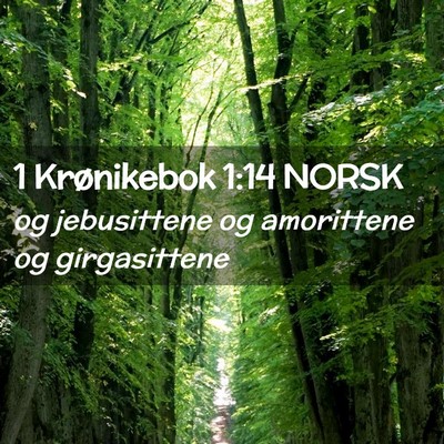 Picture 02 - 1 Krønikebok 1:14 NORSK - og jebusittene og amorittene og - Bible Verse Picture