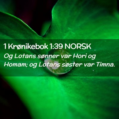 Picture 02 - 1 Krønikebok 1:39 NORSK - Og Lotans sønner var Hori og Homam; og Lotans - Bible Verse Picture